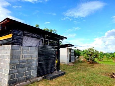 Land for sale : Land with Buildings for Sale – Nong Ruea District, Khon Kaen