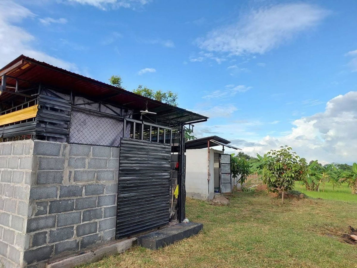 picture Land with Buildings for Sale – Nong Ruea District, Khon Kaen - 1/6