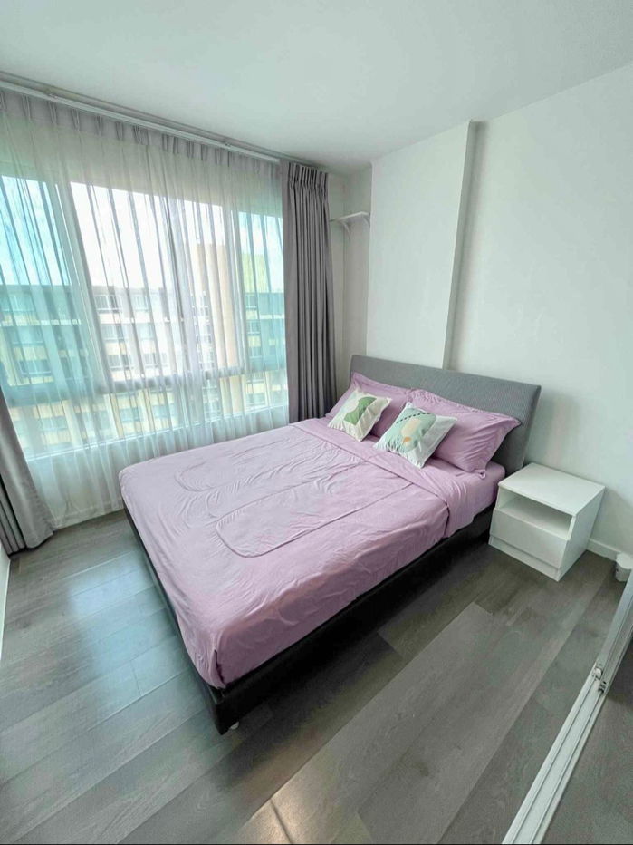 รูป ให้เช่า D condo campus resorts รังสิต ห้อง30ตรม. - รูปที่ 3/11