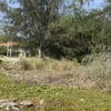 listing thumbnail image 2