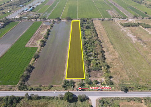 picture Location: Along Thanyaburi–Wang Noi Road, Khlong Luang District, Pathum Thani Province Land Area: 8 rai, 3 ngan, 22 square wah - 5/13