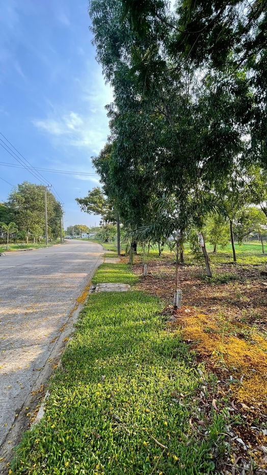 รูป ขายที่ดินเปล่าเขตคลองสามวา โครงการ Forest Park - รูปที่ 7/7