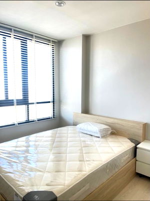 Condos for rent Bangna - Trat  : Nue Noble Srinakarin Lasalle for rent 🎉 Fully furnished 🚆MRT Tippawan