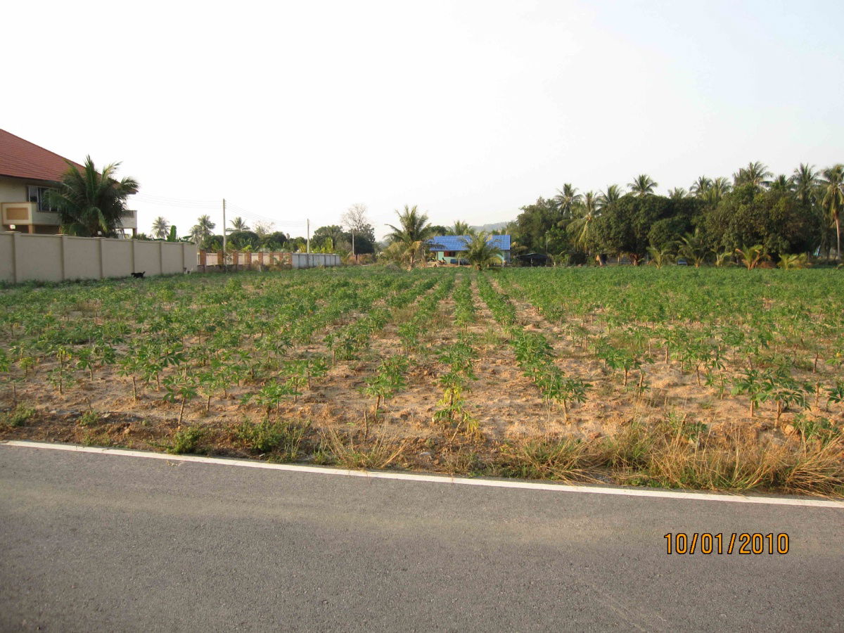 รูป ขายที่ดิน  Land for sale in Sattahip, chon buri - รูปที่ 3/3