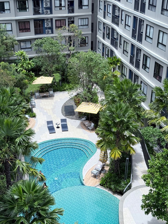 picture Dcondo reef Kathu, Phuket for rent — 14,000THB near Patong , Central Phuket - 17/21