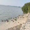 listing thumbnail image 1