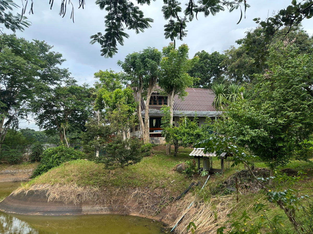รูป บ้านตากอากาศเขาใหญ่ บรรยากาศดี เป็นส่วนตัว ใกล้ถนนหลัก 1 km. - รูปที่ 15/17