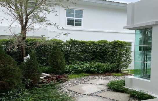 picture Single house for rent, Baan Chaiyapruek, Bangna, Km.15, 184 sq m, 61.5 sq wa - 6/6