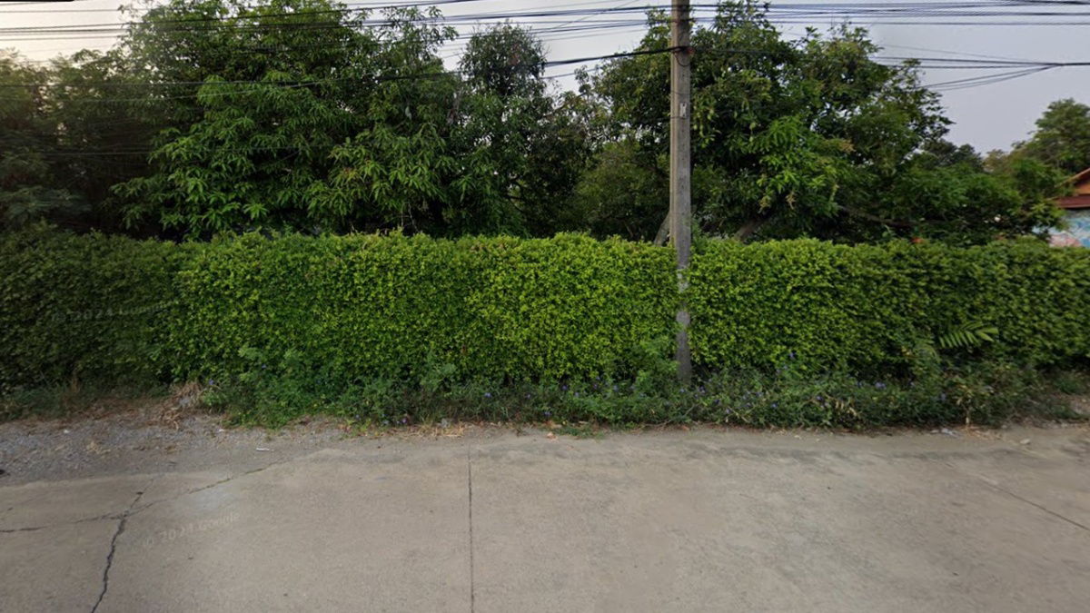 รูป ขายที่ดิน 4 ไร่ ถนนทวีวัฒนา ห่าง มหาวิทยาลัยมหิดล ศาลายา เพียง 10 นาที - รูปที่ 2/3
