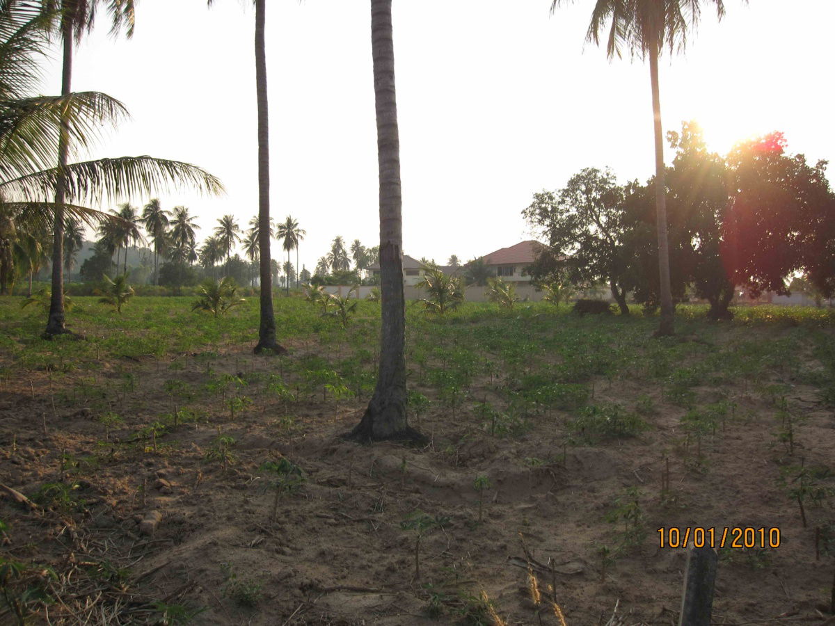 รูป ขายที่ดิน  Land for sale in Sattahip, chon buri - รูปที่ 2/3