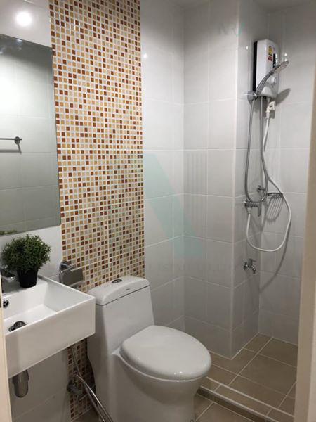 picture For rent THE MIAMI BANGPU, room size 25 sqm, STUDIO,  floor 4 - 5/8