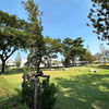 listing thumbnail image 22