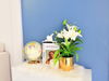listing thumbnail image 8