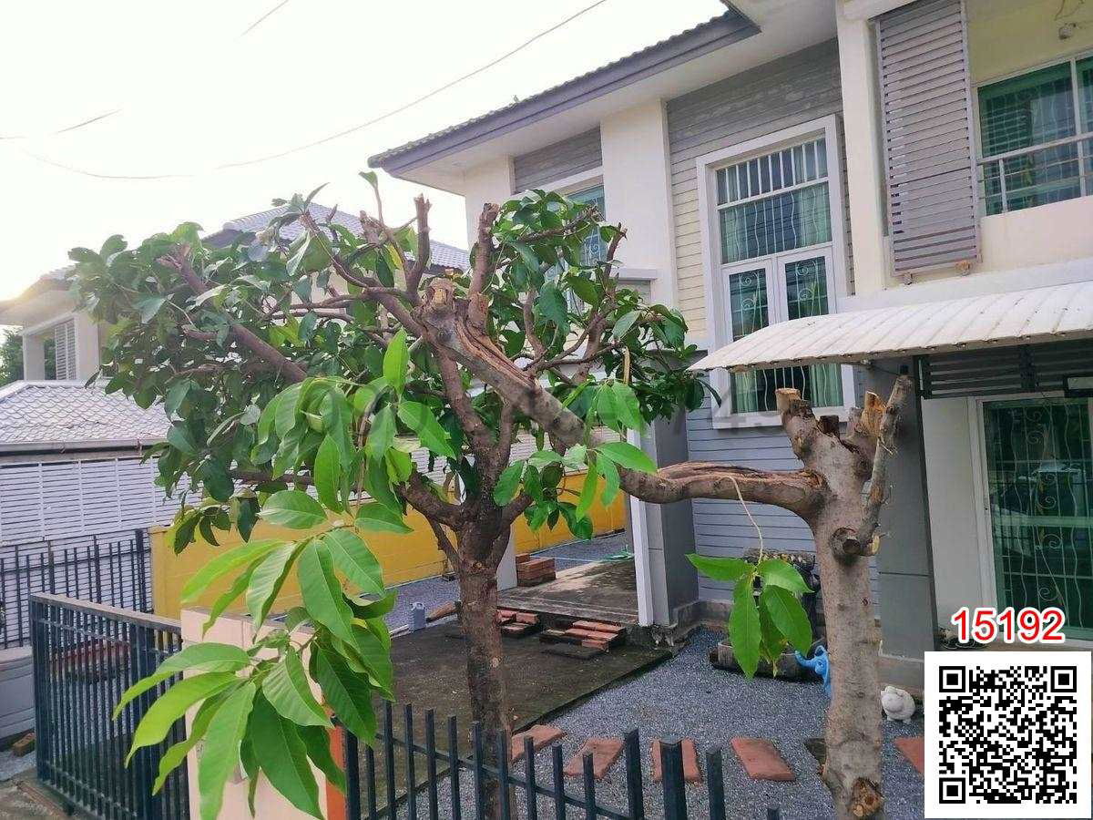 รูป เช่า บ้านเดี่ยว 2 ชั้น พฤกษาวิลเลจ ซีนเนอรี่ รัตนาธิเบศร์ – บางใหญ่ - รูปที่ 2/11