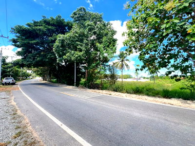 ที่ดิน บางละมุง ชลบุรี : ขายที่ดินสวยเหมาะทำโครงการพูลวิลล่า ใกล้อ่างน้ำมาบประชัน