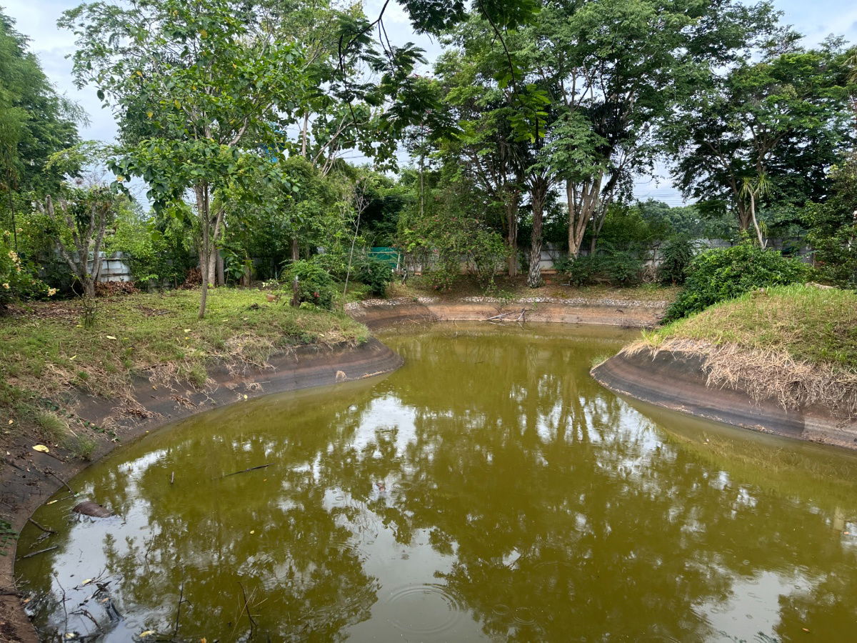 รูป บ้านตากอากาศเขาใหญ่ บรรยากาศดี เป็นส่วนตัว ใกล้ถนนหลัก 1 km. - รูปที่ 16/17