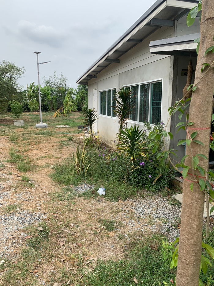 รูป บ้านส่วนให้เช่า บนที่ดิน 1 ไร่ - รูปที่ 2/6
