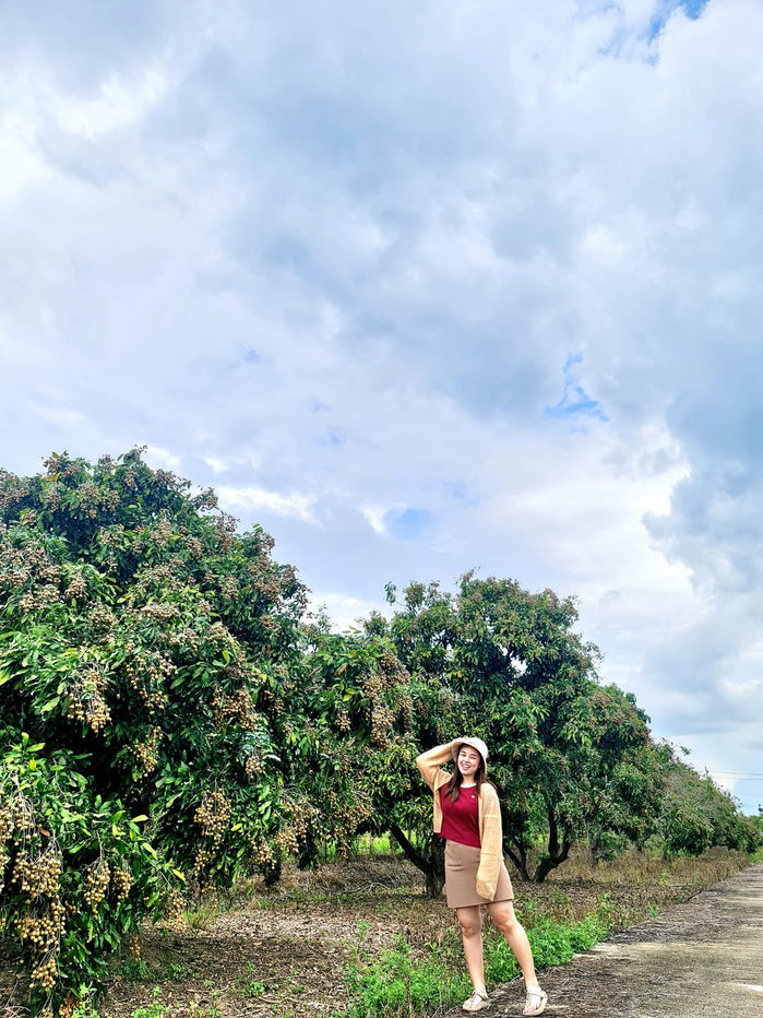 รูป ขายที่ดินสวยใน อ.หางดง เชียงใหม่  ราคาโดนใจ - รูปที่ 4/11