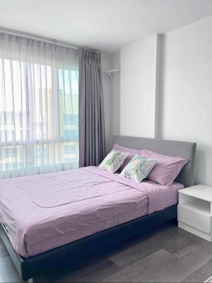 รูป ให้เช่า D condo campus resorts รังสิต ห้อง30ตรม. - รูปที่ 4/11