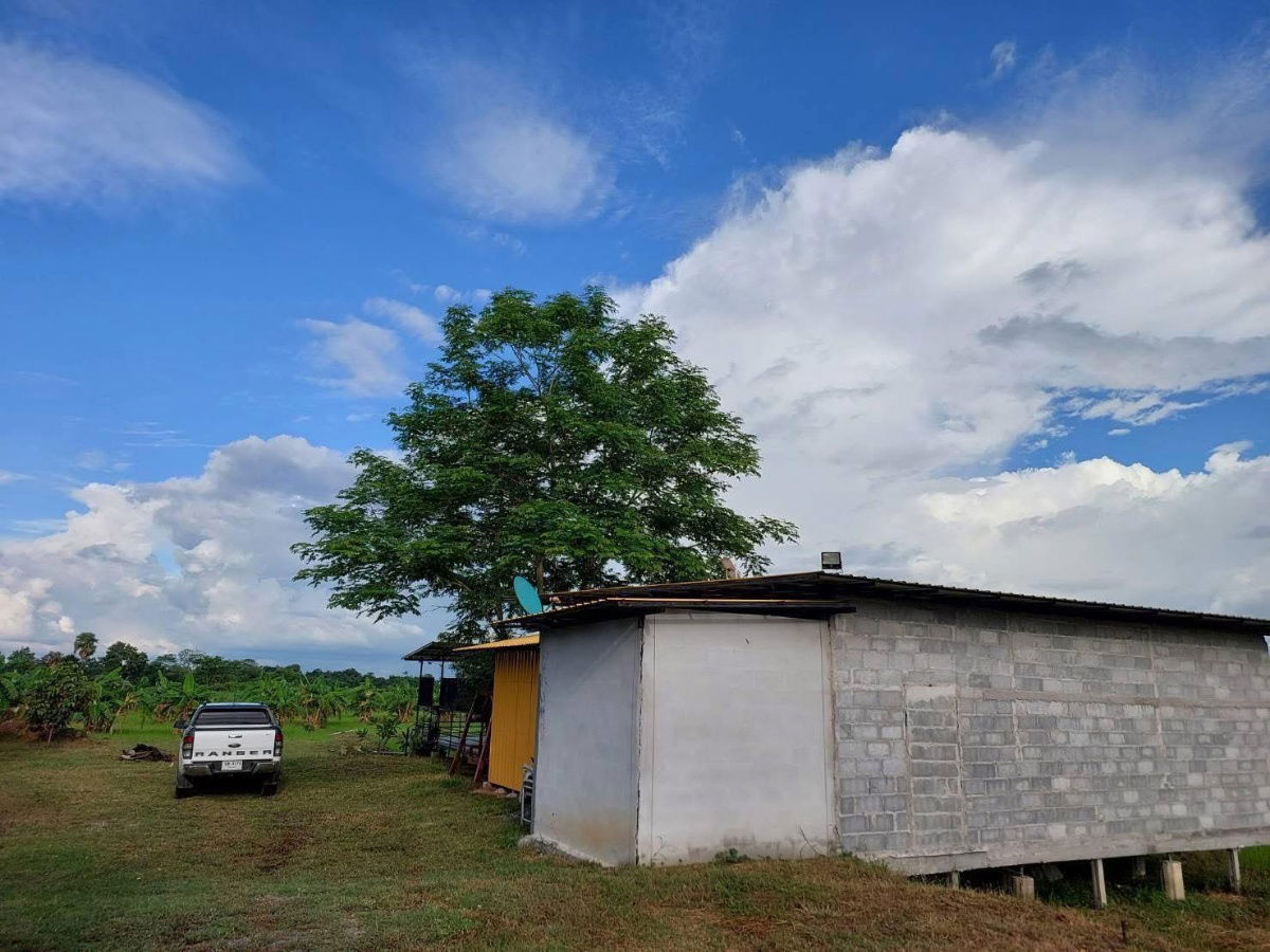 picture Land with Buildings for Sale – Nong Ruea District, Khon Kaen - 2/6