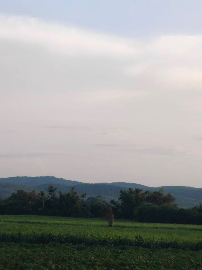 รูป ขายที่ดินต.ซับสนุ่น มวกเหล็ก โฉนดครุฑแดง วิวสวย อากาศดี - รูปที่ 5/10