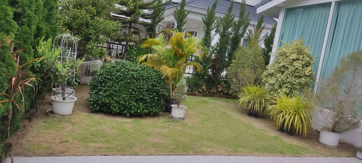 รูป บ้านเดี่ยว ราคาดี ใกล้ รถไฟฟ้า MRT และสถานที่สำคัญ - รูปที่ 10/11
