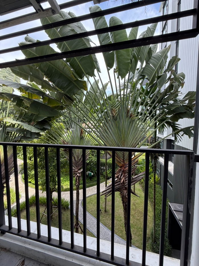 รูป 🌳ขาย Escent Park Ville Condo เชียงใหม่ – ห้องใหม่ วิวสวน 🌳 - รูปที่ 9/12