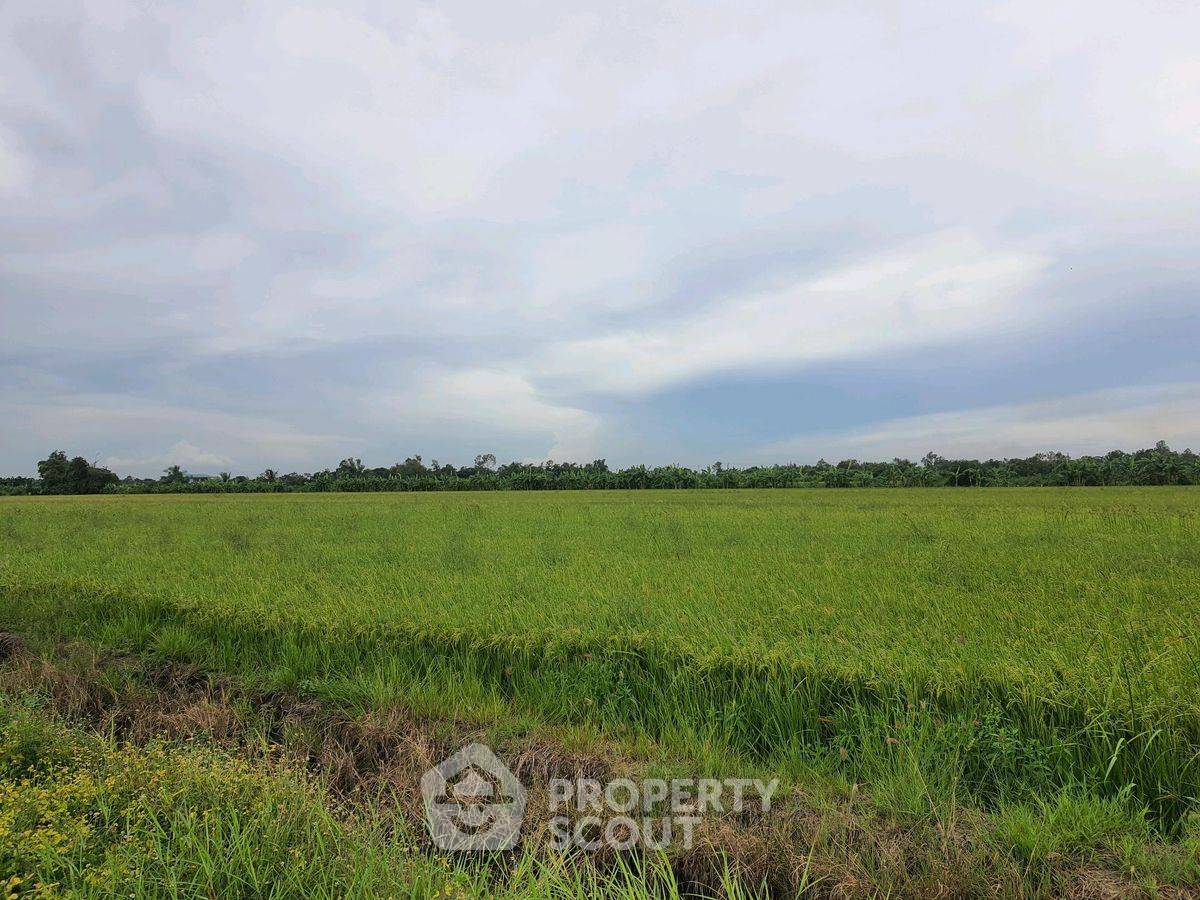 รูป ที่ดินสำหรับปล่อยขาย 1,600 ตารางเมตร แถว ใน กระทุ่มราย (ID 2265841) - รูปที่ 4/4