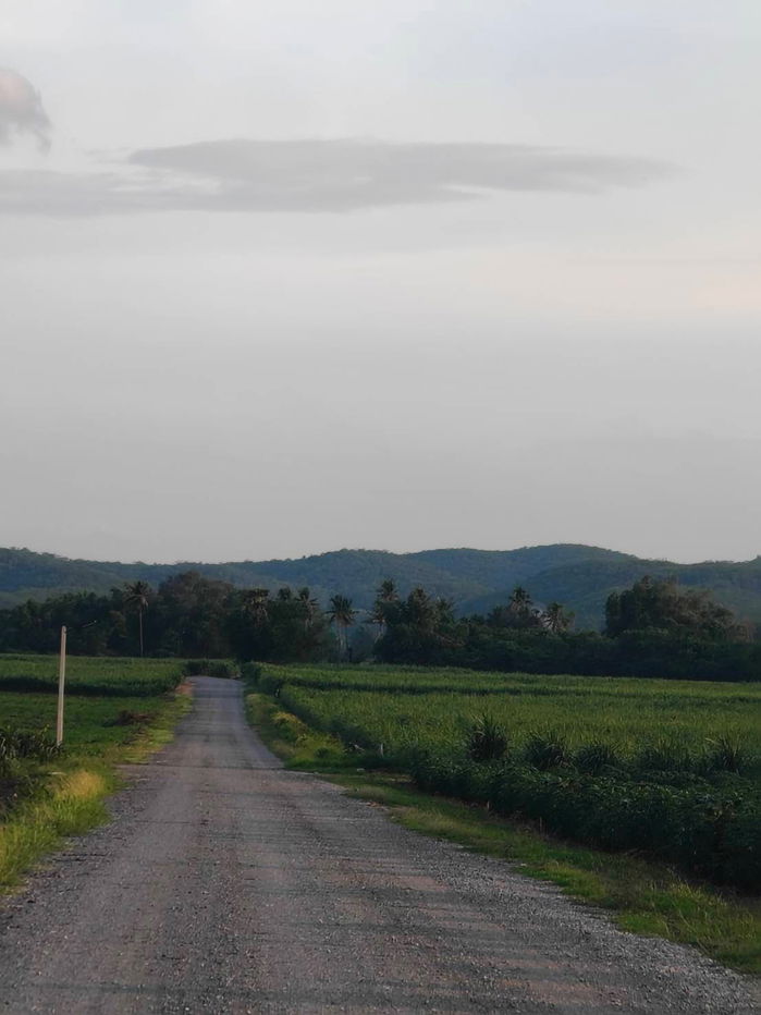 รูป ขายที่ดินต.ซับสนุ่น มวกเหล็ก โฉนดครุฑแดง วิวสวย อากาศดี - รูปที่ 1/10
