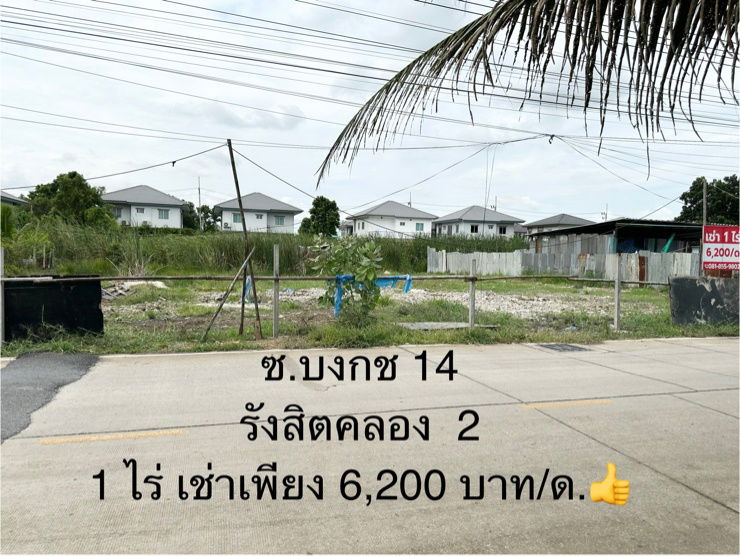 รูป ทำเลชุมชนขยายตัว! ที่ดินรังสิตคลอง 2 ให้เช่า แค่ 6,200 บาท/เดือน/ไร่ - รูปที่ 1/3
