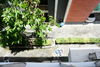 listing thumbnail image 22