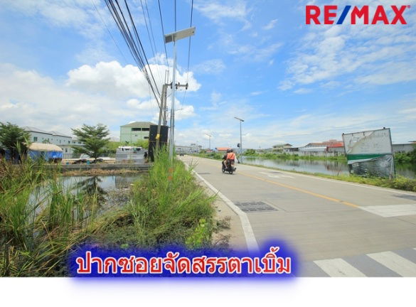 รูป ที่ดินประชาอุทิศ90 จัดสรรตาเบิ้ม ถนนเมน 207ตารางวา สร้างบ้าน ทำธุรกิจได้ ใกล้โรงเรียนสารสาสน์วิเทศ ทางด่วนสุขสวัสดิ์ บางพลี ราคาถูก   - รูปที่ 19/23