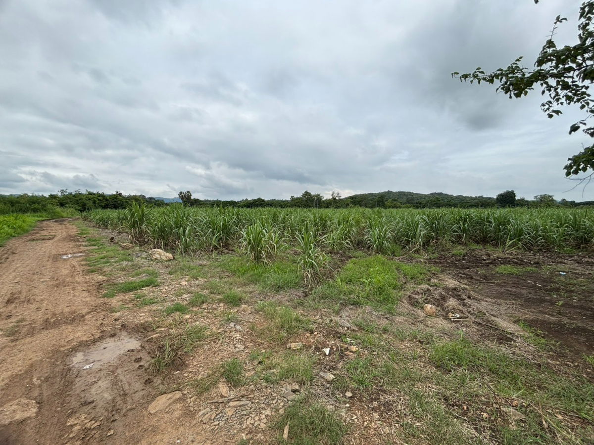 picture Land for Sale in Phaya Yen Subdistrict, Pak Chong District, Nakhon Ratchasima - 5/8