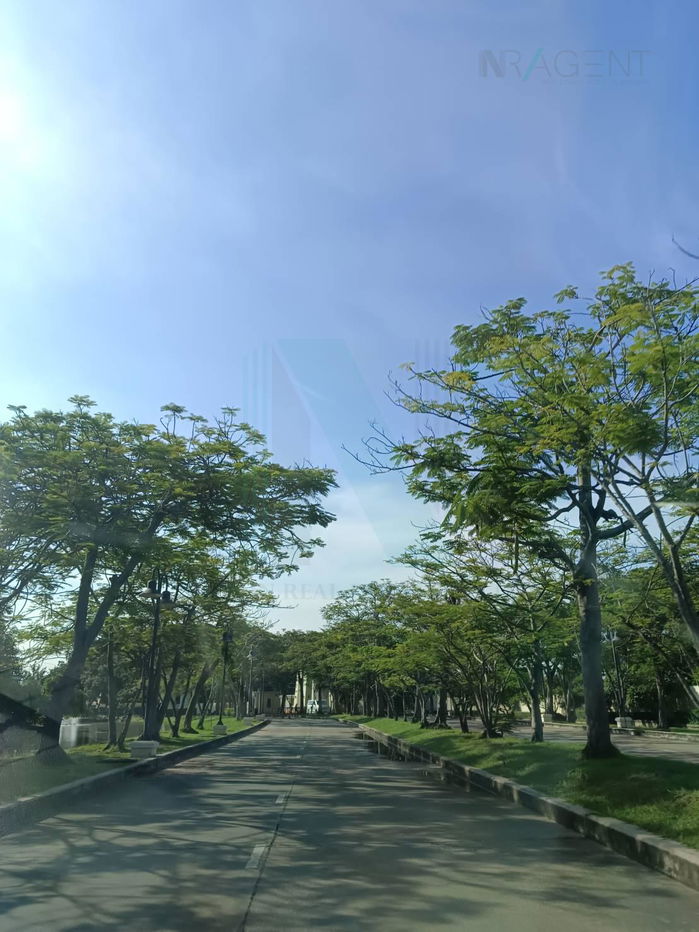 รูป 📌 ขายบ้านเดี่ยว 2 ชั้น โครงการ อนาวิลล์ สุวรรณภูมิ 4 ห้องนอน 2 ห้องน้ำ - รูปที่ 7/8