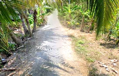 ที่ดิน สามพราน นครปฐม : ขายที่ดิน นครปฐม ถมแล้ว อ.สามพราน ต.ตลาดจินดา เหมาะทำการเกษตร สวน หรืออยู่อาศัย  1-3-8.5 ไร่