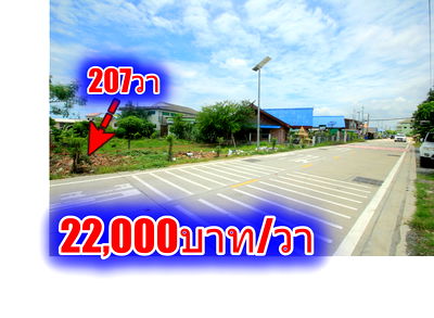 ที่ดิน สมุทรปราการ : ที่ดินประชาอุทิศ90 จัดสรรตาเบิ้ม ถนนเมน 207ตารางวา สร้างบ้าน ทำธุรกิจได้ ใกล้โรงเรียนสารสาสน์วิเทศ ทางด่วนสุขสวัสดิ์ บางพลี ราคาถูก  
