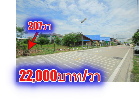 ที่ดินประชาอุทิศ90 จัดสรรตาเบิ้ม ถนนเมน 207ตารางวา สร้างบ้าน ทำธุรกิจได้ ใกล้โรงเรียนสารสาสน์วิเทศ ทางด่วนสุขสวัสดิ์ บางพลี ราคาถูก  