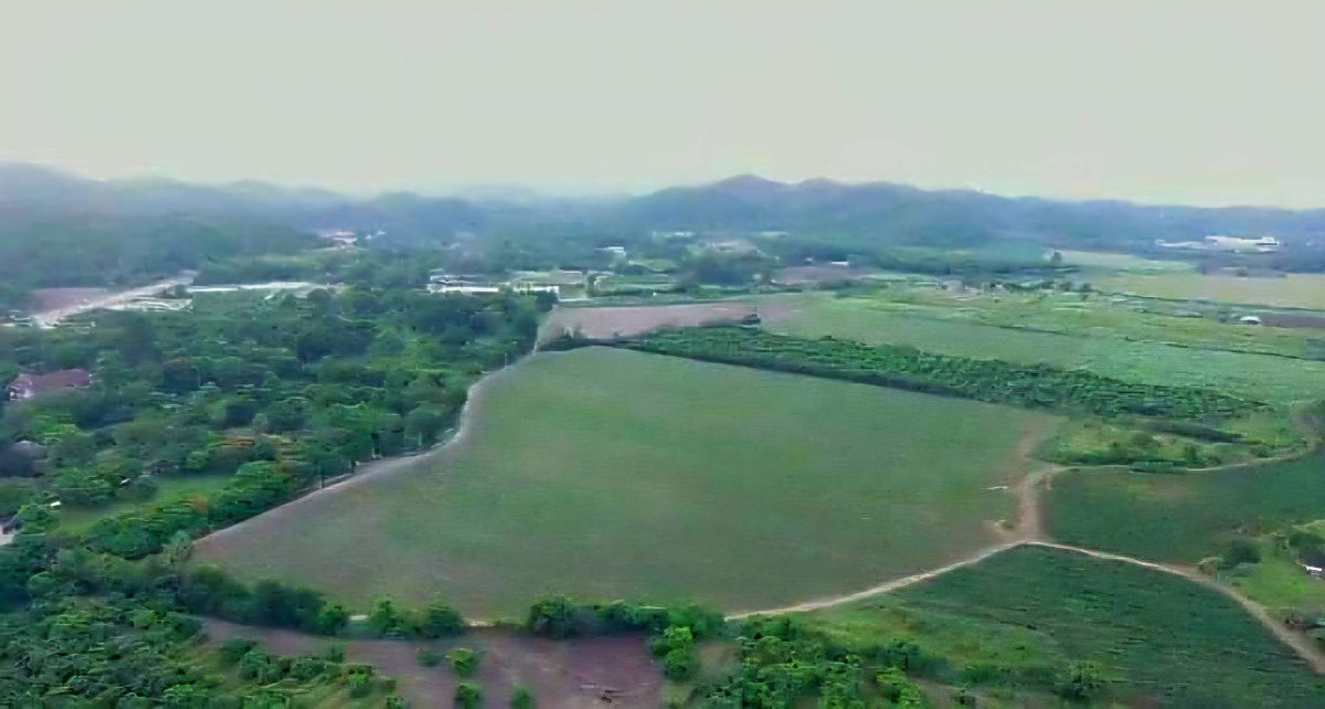 picture Land for Sale in Phaya Yen Subdistrict, Pak Chong District, Nakhon Ratchasima - 6/8