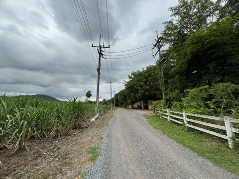 Land for Sale in Phaya Yen Subdistrict, Pak Chong District, Nakhon Ratchasima