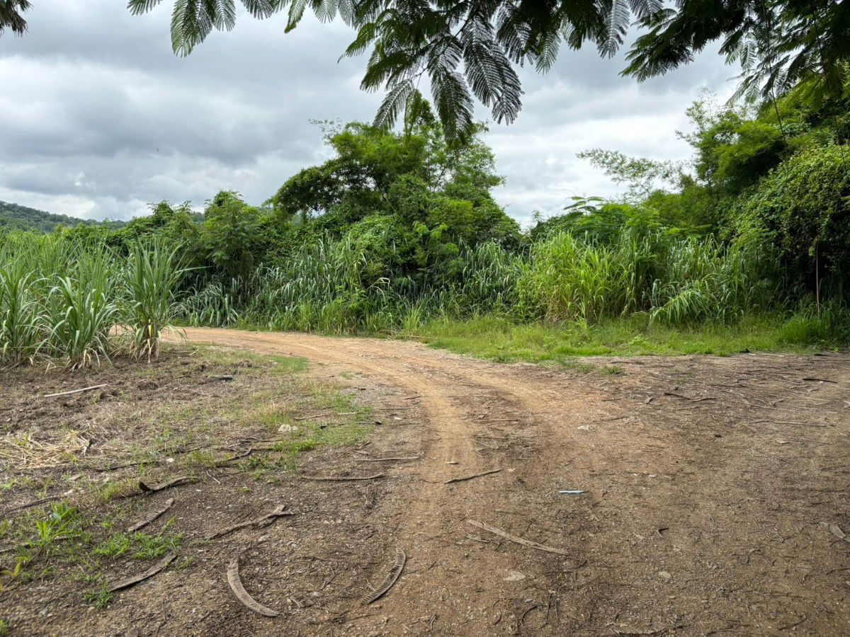 picture Land for Sale in Phaya Yen Subdistrict, Pak Chong District, Nakhon Ratchasima - 3/8