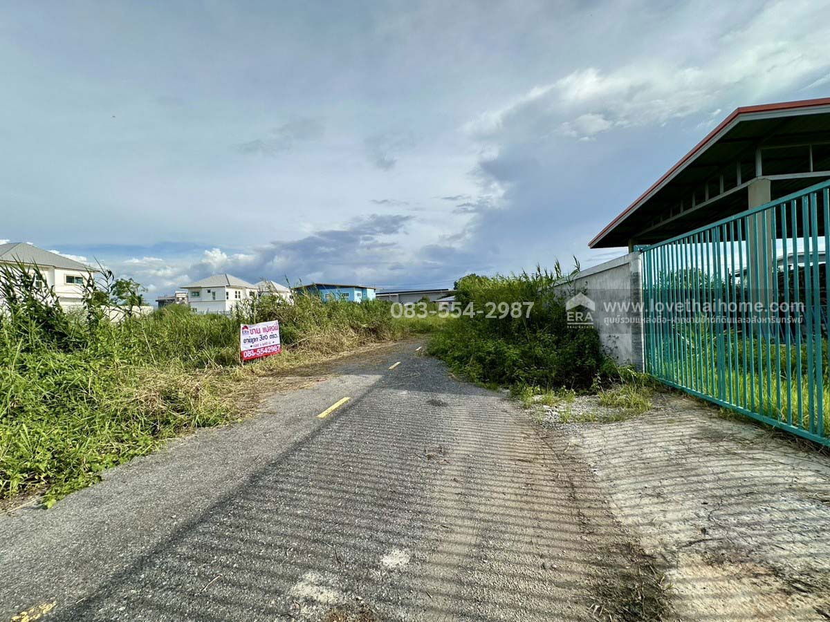 รูป ขายที่ดินราคาถูก ต.ขุนศรี อ.ไทรน้อย จ.นนทบุรี ใกล้วัดสโมสร 300 ตร.วา (30x40 ม.) ซ.เงินวัฒนะ จากถนนใหญ่ ปทุมธานี–บางเลน เพียง 3 กม. - รูปที่ 2/10