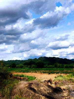 ที่ดิน สระบุรี : ขายด่วนที่ดินราคาถูก มวกเหล็ก สระบุรี