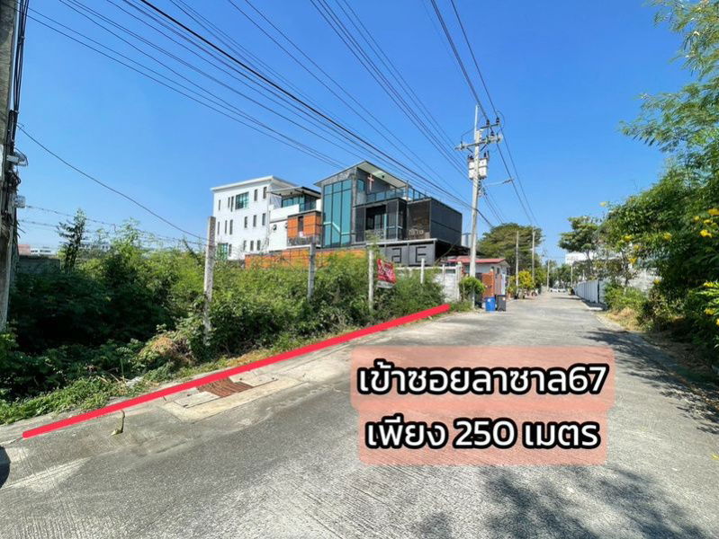 รูป ✨ ขายที่ดิน ซ.ลาซาล 67 ถมแล้ว 100 ตร.ว. ทำเลศักยภาพ ใกล้ BTS - รูปที่ 2/5