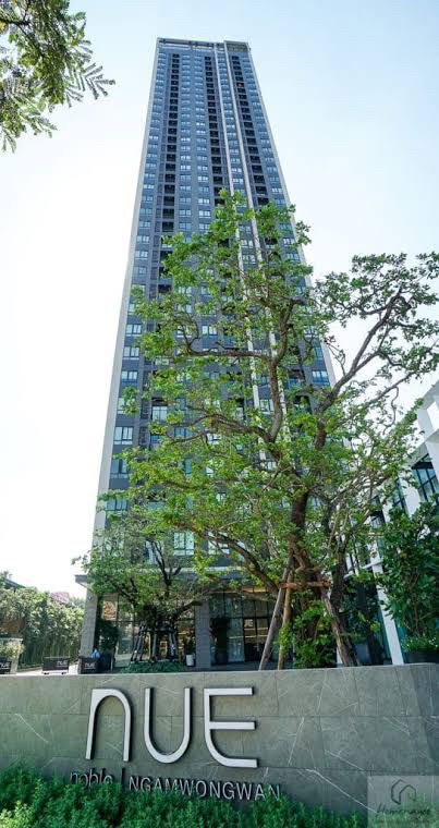 picture NUE Noble Ngamwongwan 🏢 ( Line : men_onono ) - 13/14