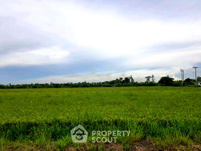 ที่ดิน เขตหนองจอก : ที่ดินสำหรับปล่อยขาย 1,600 ตารางเมตร แถว ใน กระทุ่มราย (ID 2265841)