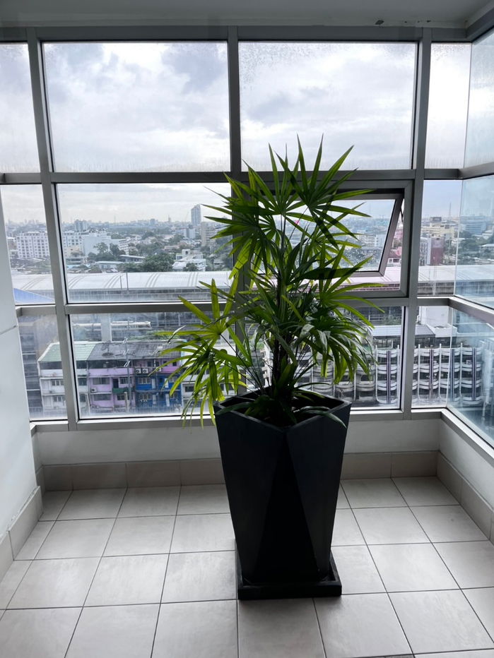 รูป ให้เช่าคอนโด 2 ห้องนอน ใจกลางเมือง ห้องมุมวิวสวย - รูปที่ 22/24