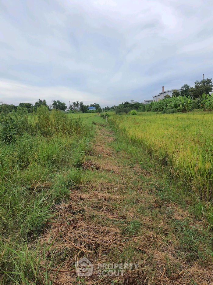 รูป ที่ดินสำหรับปล่อยขาย 1,600 ตารางเมตร แถว ใน กระทุ่มราย (ID 2265841) - รูปที่ 3/4