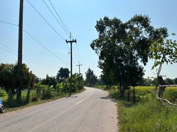 รูป ขายที่ดินยกแปลง 12 ไร่ ใกล้ อบต.ประทาย โคราช เหมาะทำโครงการจัดสรร - รูปที่ 11/14