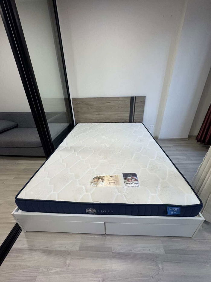 รูป ECH250842 ให้เช่า Plum Condo Saphanmai Station | 1 ห้องนอน 1 ห้องน้ำ | 23 ตรม. | ชั้น 4 | Fully Furnished | 8,500 บาท/เดือน - รูปที่ 2/11