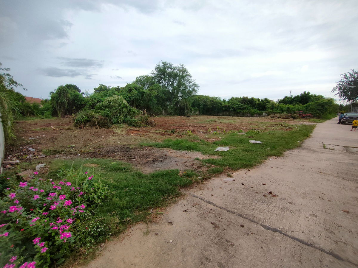 picture Land for Sale near Nakhon Sawan Bypass – Only 999,900 THB  - 2/4